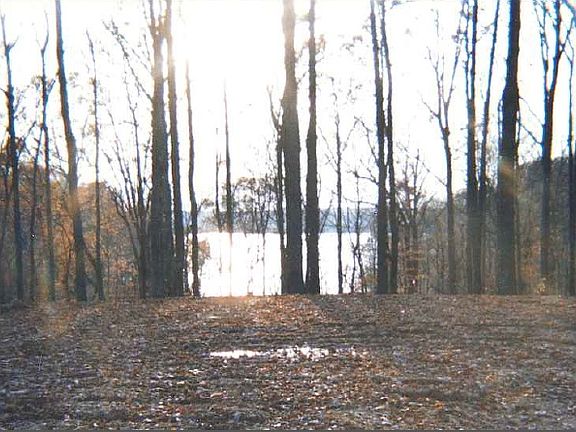 3rd image of Grandview