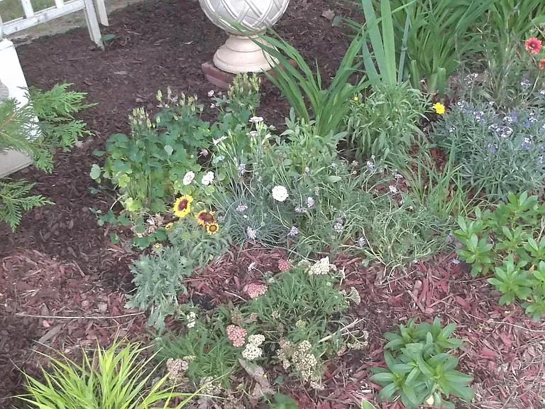 corner garden