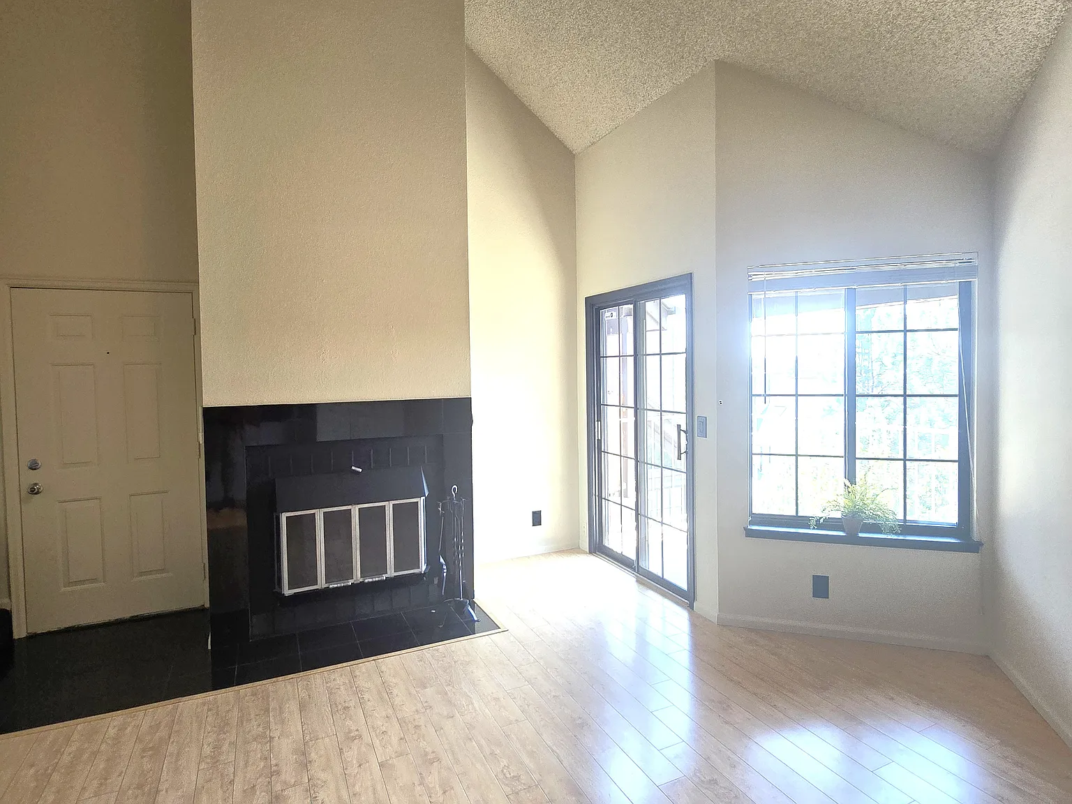 2 bed, 740 sqft, $1,900 — Photo 4
