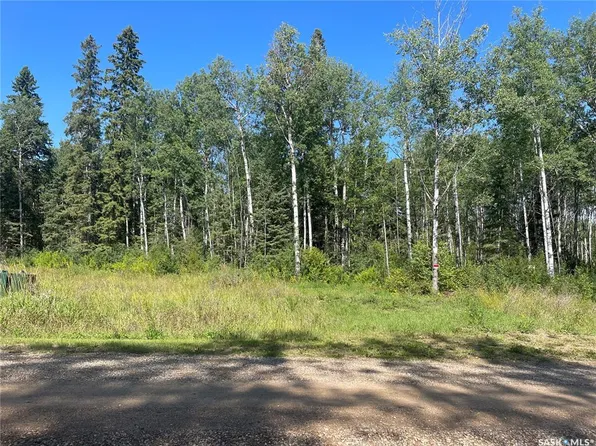 2 Phillips CRESCENT, Big River Rm No. 555, SK S0J 0E0