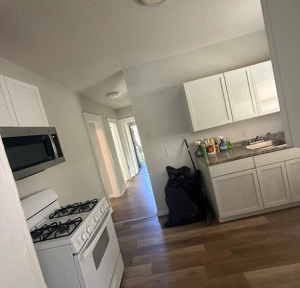 2 bed, 1100 sqft, $2,000 — Photo 2
