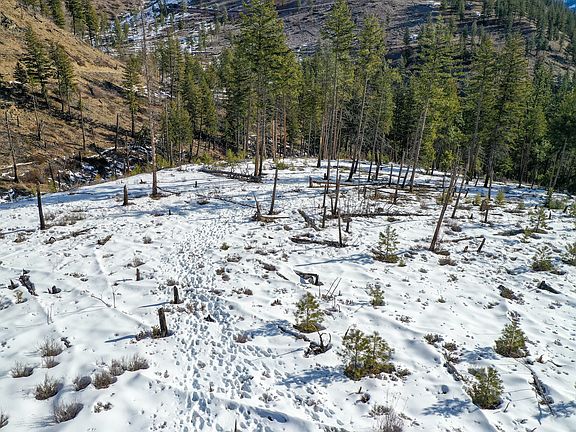 5th image of 13 S Fork Nemote Creek Rd Lot Wp001