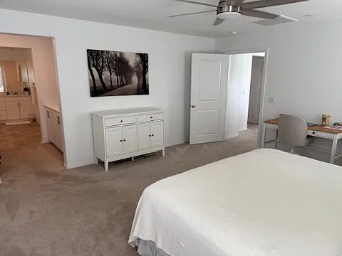30111 Sunset Pier Dr — Photo 15