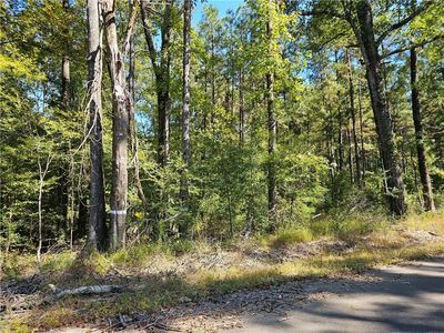 0 Setliff Rd, Flatwoods, LA, 71427