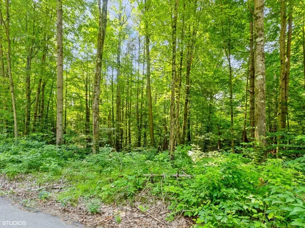 5824 Timber Bluff Trl, Fennville, MI 49408