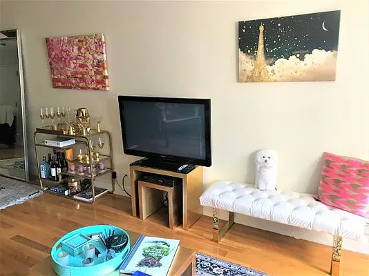 Rented by NY Living Solutions | media 6