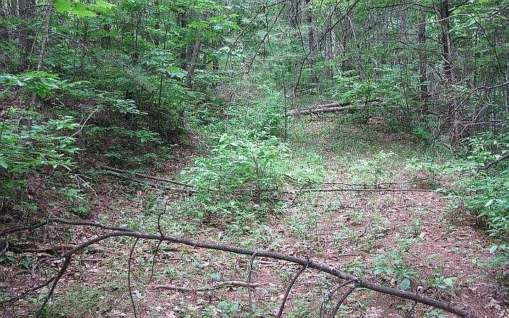 2nd image of Echo Rd #326
