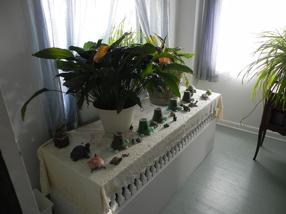 Part of Sunroom