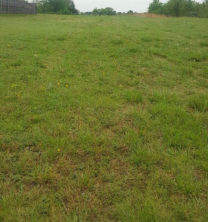 2nd image of 2017 Woodmont