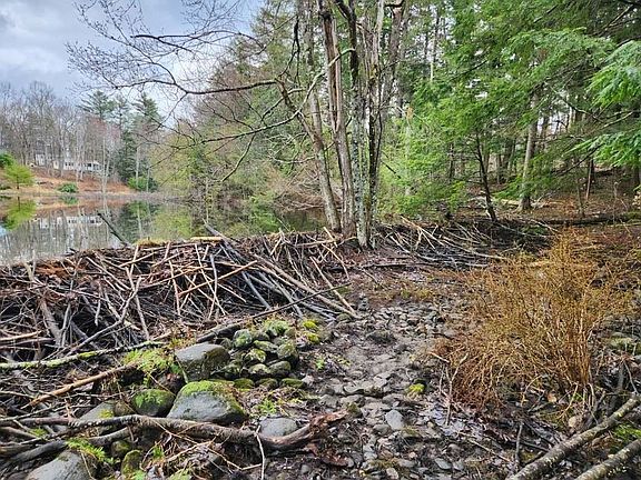 4th image of Map 122 Lot 69 Off Sawyer Lake Road