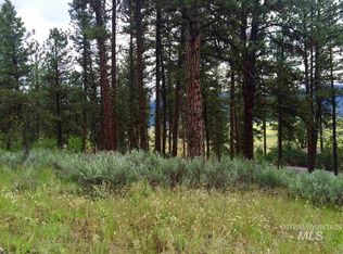 LOT B6 22 Hot Springs Rd, New Meadows, ID 83654