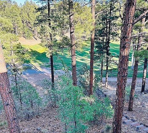 Premium lot on Bison Golf 