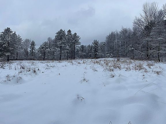 Winter view - roadside field