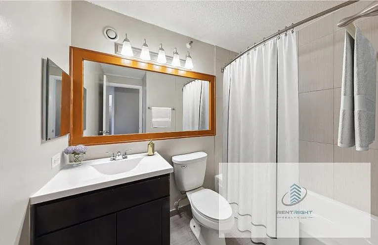 441 E Erie St #4307 — Photo 7