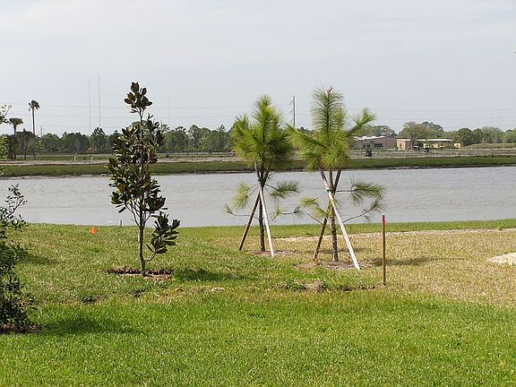 3rd image of 11634 Dancing River Dr