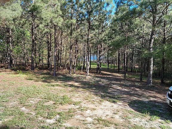 Looking down to pond