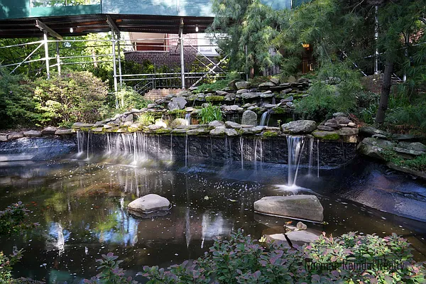 Rented by Norman Raindel, LREB | media 35