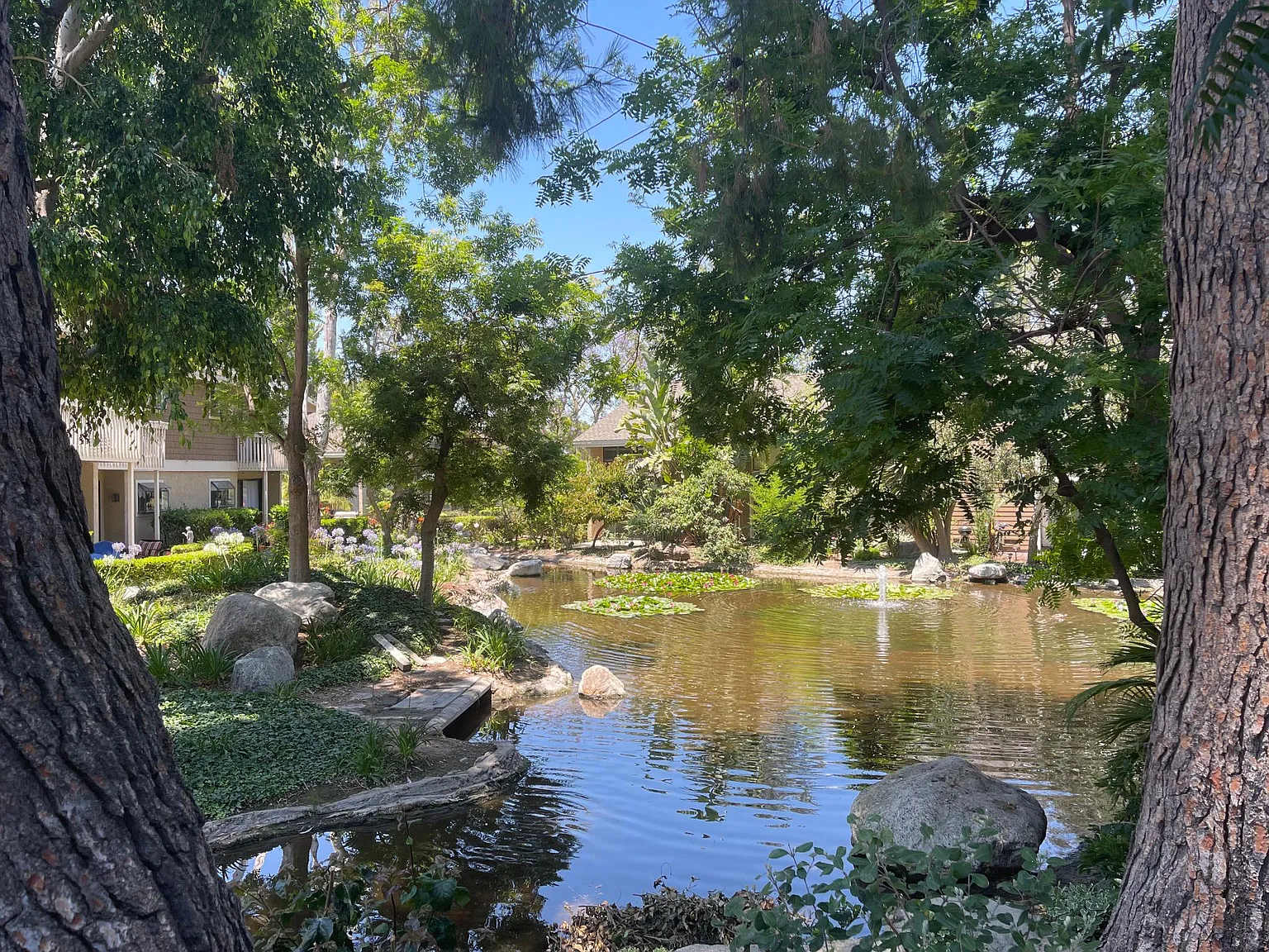 1 bed, 934 sqft, $2,650 — Photo 1