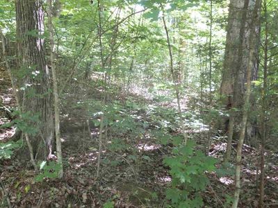 Midnight Way, Parrottsville, TN, 37843