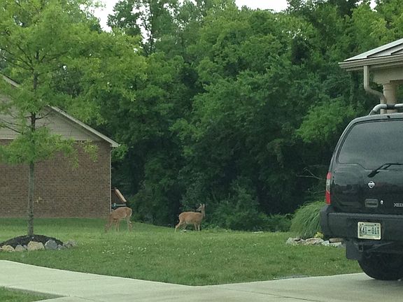 Park beside and across