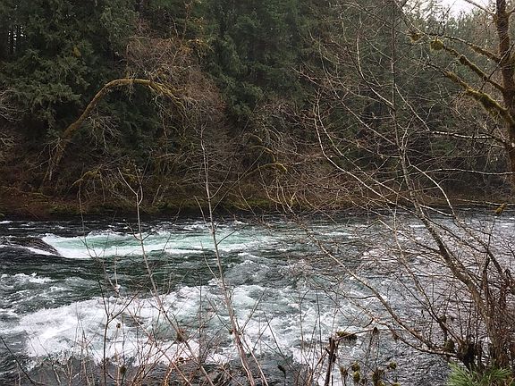2nd image of McKenzie River Dr