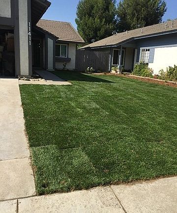 New sod installed 6/21/2015