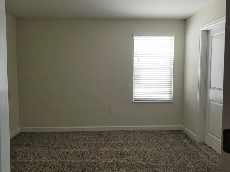 11142 Longleaf Woods Dr — Photo 11