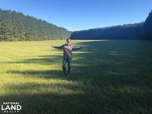 Nice field. Always see Turkeys in it.