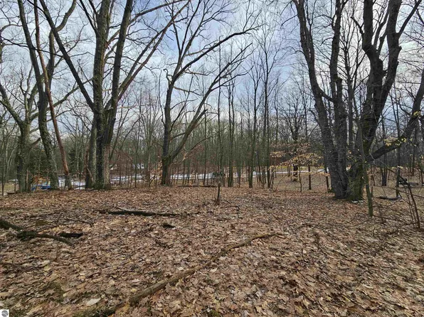 114 S Plateau Cir, Leroy, MI 49655