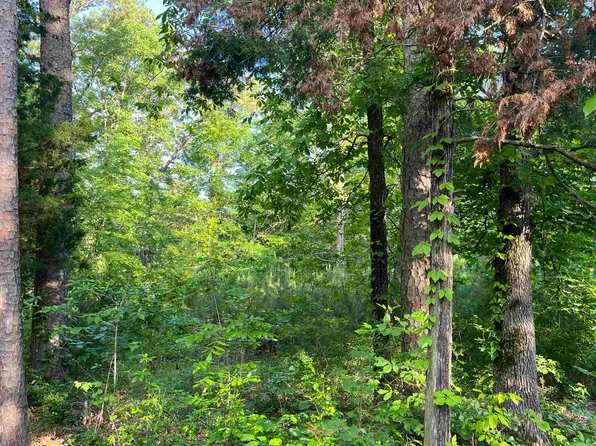 120 & 121 Del Rio Way, Higden, AR 72067