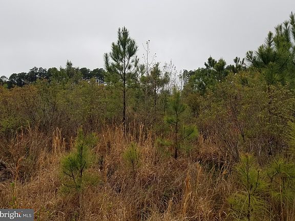 2nd image of Sika Land