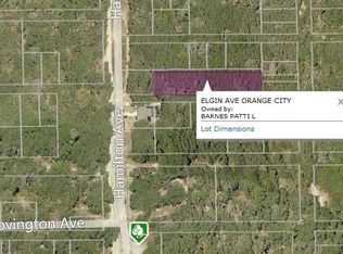 Elgin Ave, Orange City, FL 32763