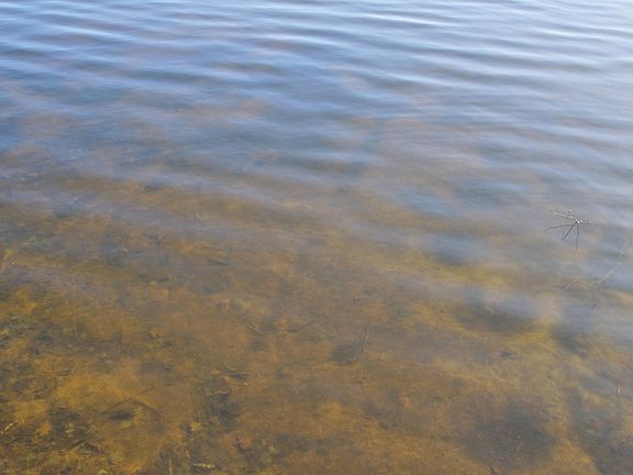3rd image of 0 Ranch Rd