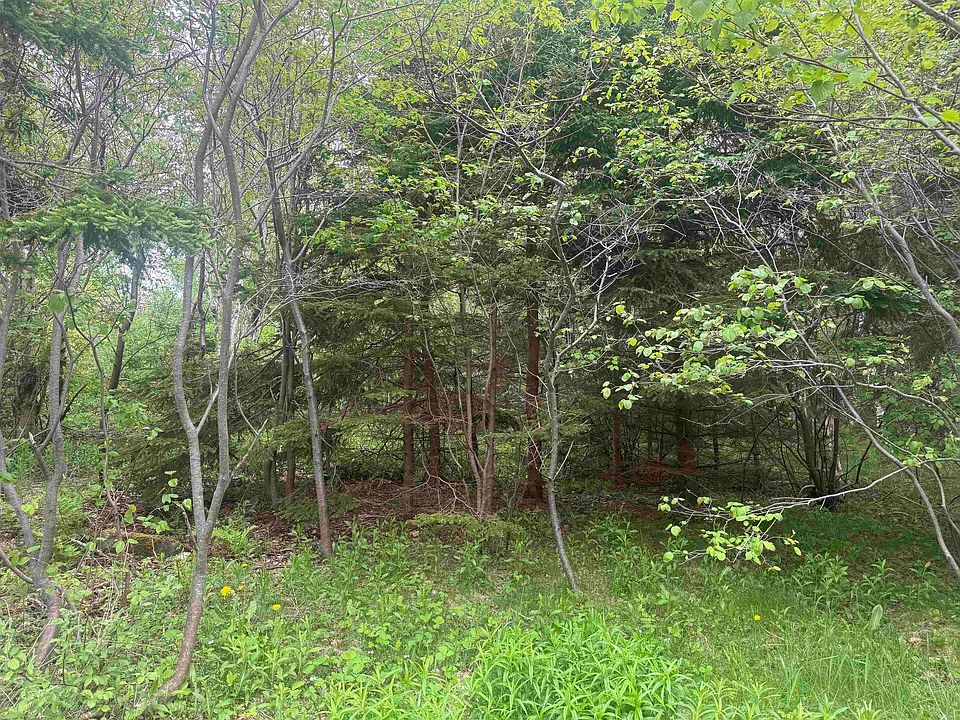 1st image of 15 Kennel Ln