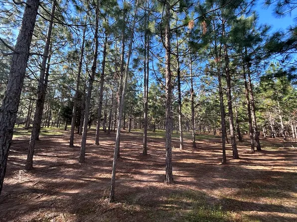 2 Ac Cty Rd #18, Headland, AL 36345