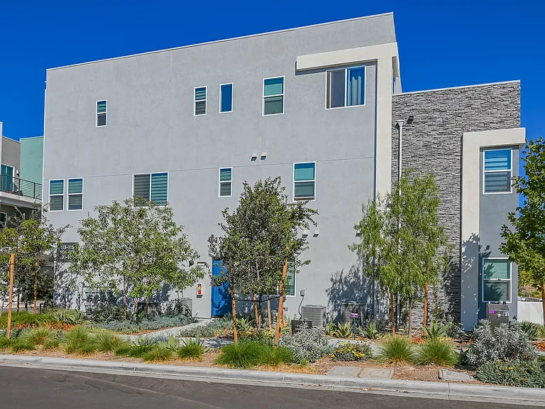 115 Sash — Photo 2