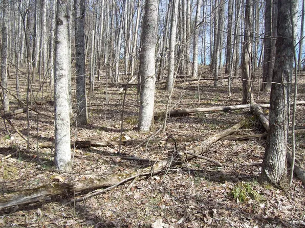 0 Patsy Rd, Sneedville, TN 37869