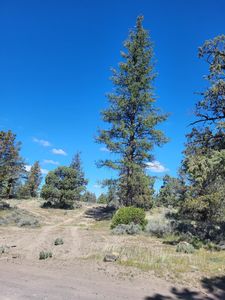 LOT 9 Proteau Rd, Montague, CA, 96064