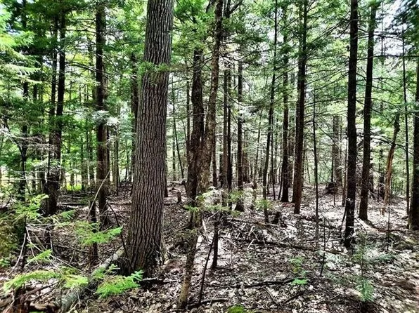 35 High Brook Road, Thornton, NH 03223