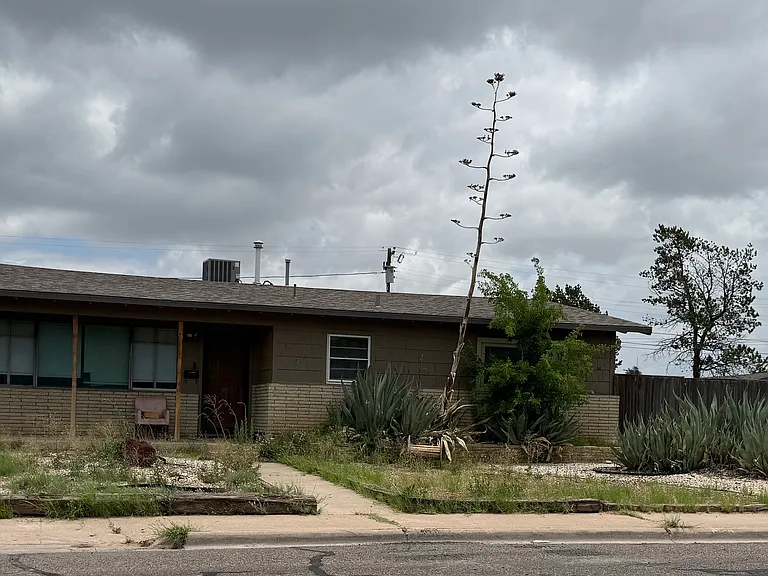 1800 Walnut Ave — Photo 1