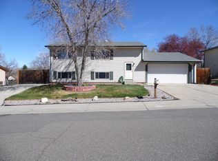 1729 E 83rd Dr, Denver, CO 80229