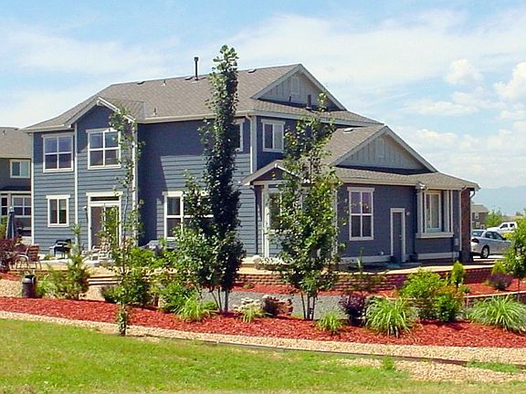 Back landscaping 