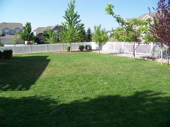 Backyard, 1/4 acre