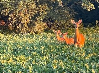 11718 E Clarksville Rd, Marshall, IL 62441