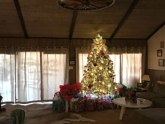 Family room with tall tree