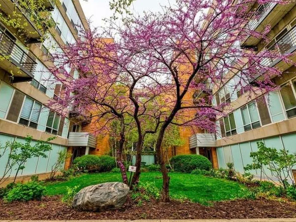 1430 S Michigan Ave #407