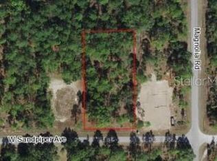 Sandpiper Ave LOT 100, Brooksville, FL 34614