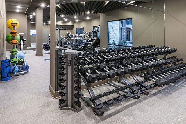 Fitness