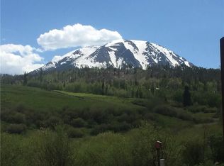 449 W Coyote Dr, Silverthorne, CO 80498