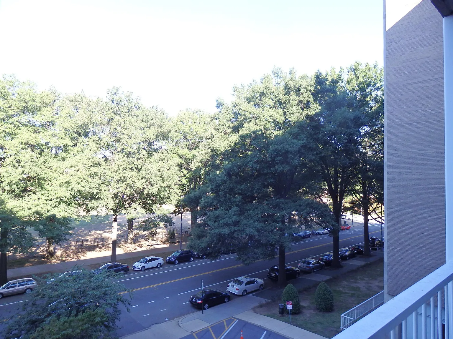 1 bed, 540 sqft, $1,900 — Photo 4